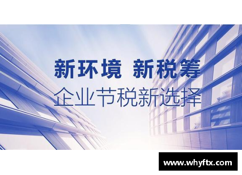 体育明星收入税负分析：高收入与税收政策的关系探讨