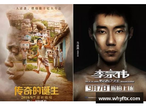 深入探讨我最喜爱的体育明星的传奇故事与成就