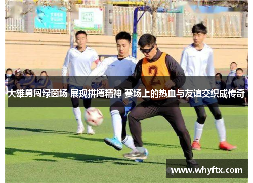大雄勇闯绿茵场 展现拼搏精神 赛场上的热血与友谊交织成传奇